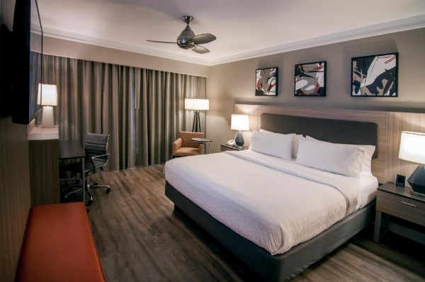 Holiday Inn Baton Rouge College Drive I-10 by IHG image 39